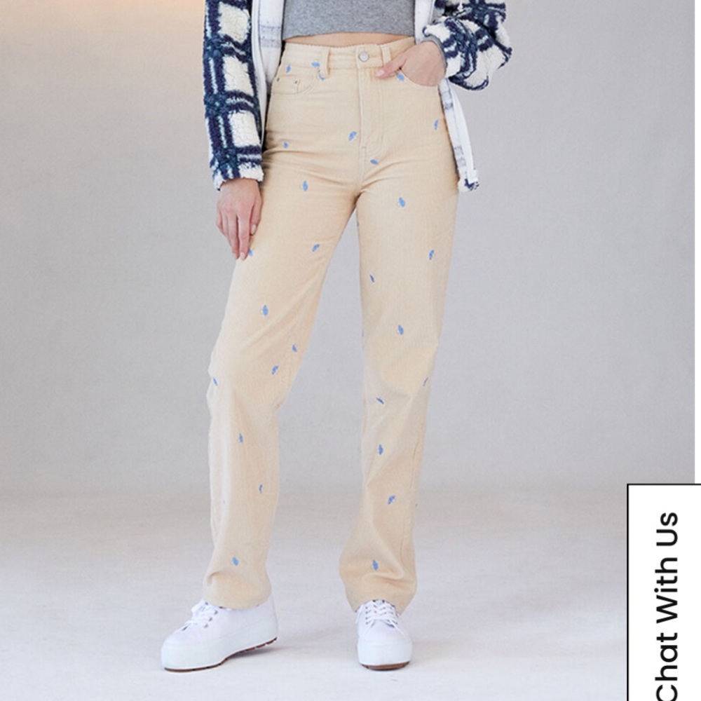 PacSun Mirco Embroidered Mushroom Boyfriend Jeans size 24